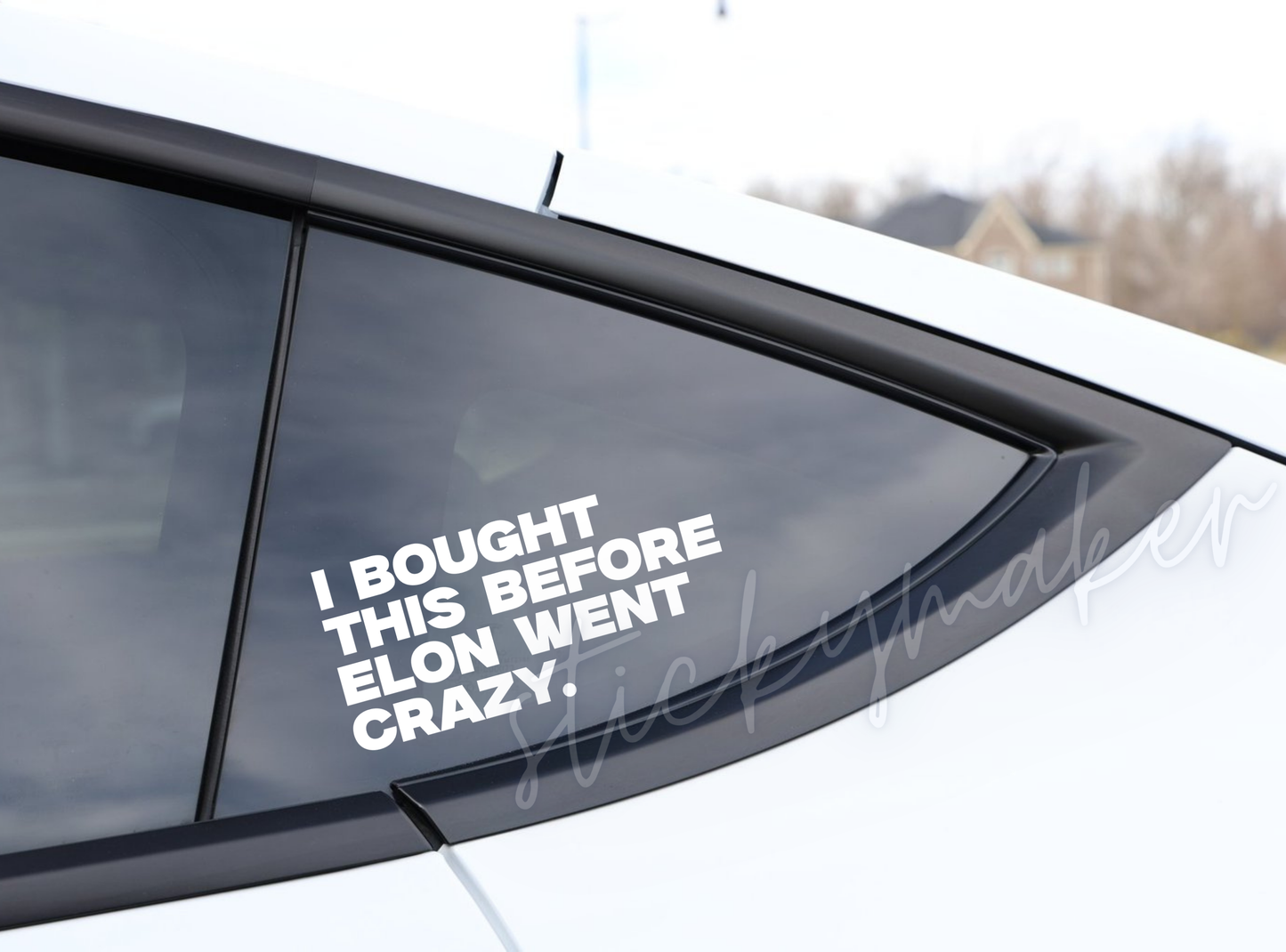 I Bought this Before Elon Went Crazy Vinyl Decal | Bumper Sticker | Anti Elon Tesla | I Bought this before I Knew Elon Was Crazy Funny Humor
