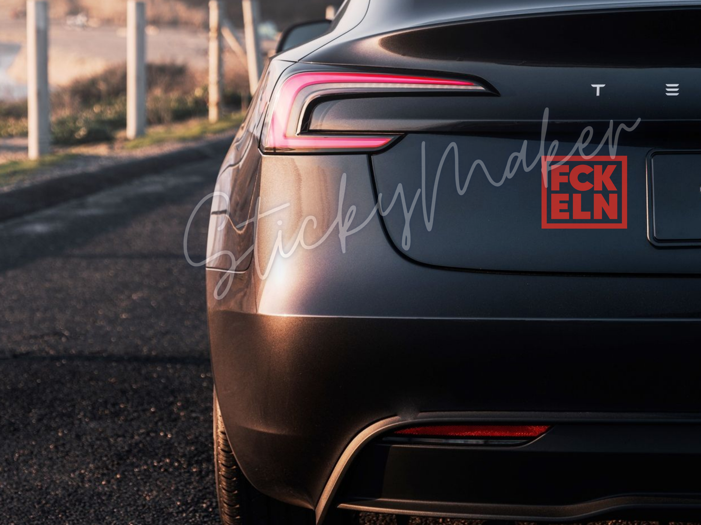 FCK ELN Vinyl Decal | Bumper Sticker | Anti Elon Tesla | High Quality Waterproof Fuck Elon | 63 Colors Anti-Elon Tesla