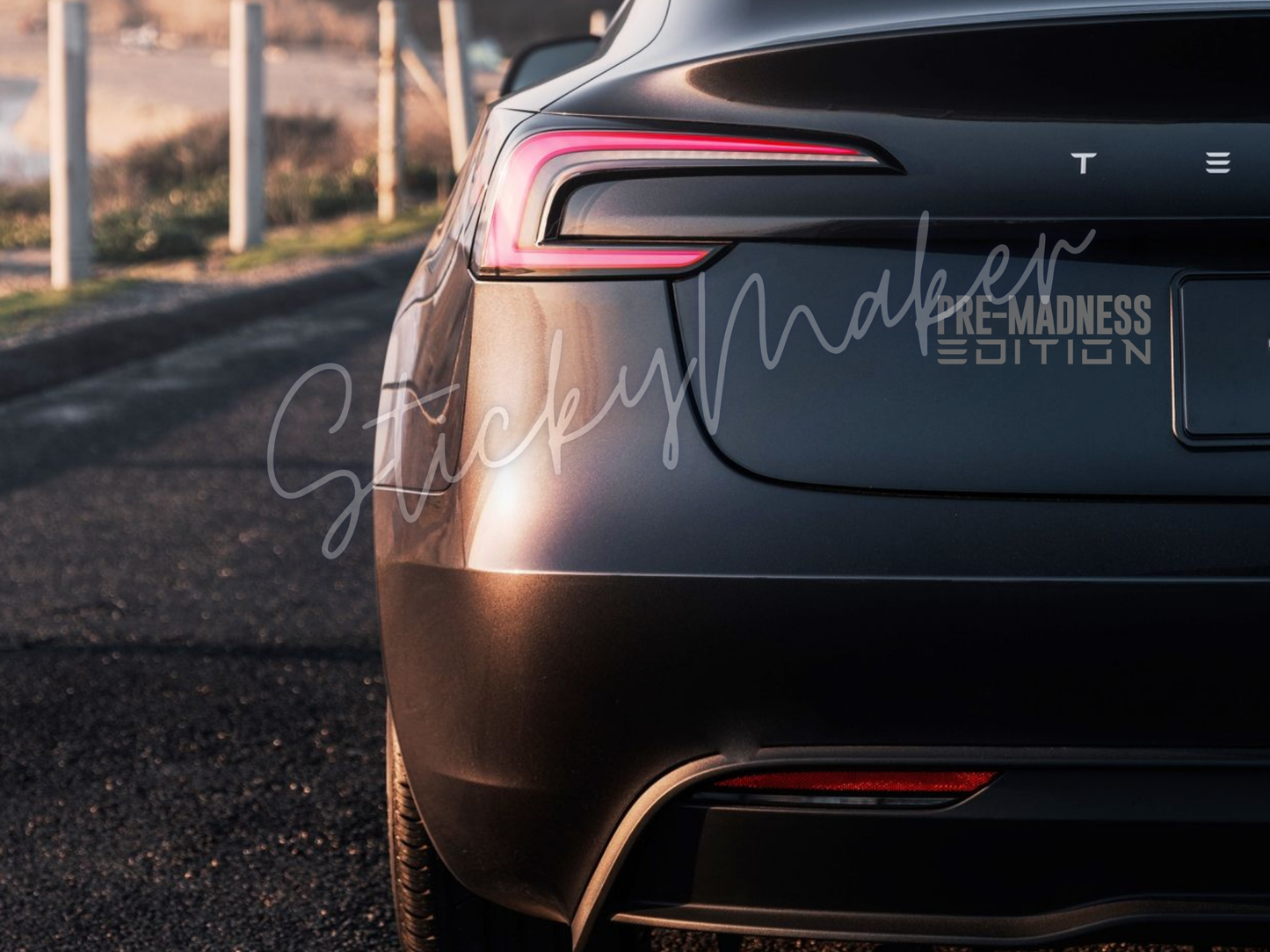 Pre-Madness Edition Vinyl Decal | Bumper Sticker | Anti Elon Tesla | Waterproof | Fuck Elon | 63 Colors Anti-Elon Tesla Pre Madness