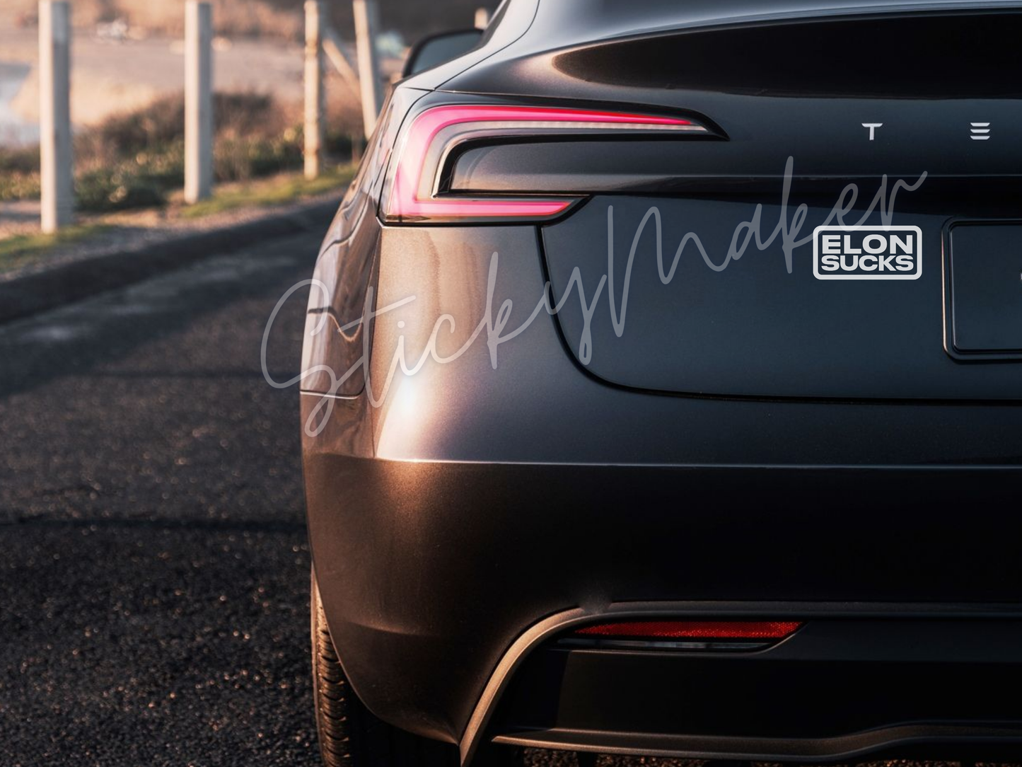 Set of 2: Elon Sucks Vinyl Decal | Bumper Sticker | Anti Elon Tesla | High Quality Waterproof UV Resistant | 63 Color Choices