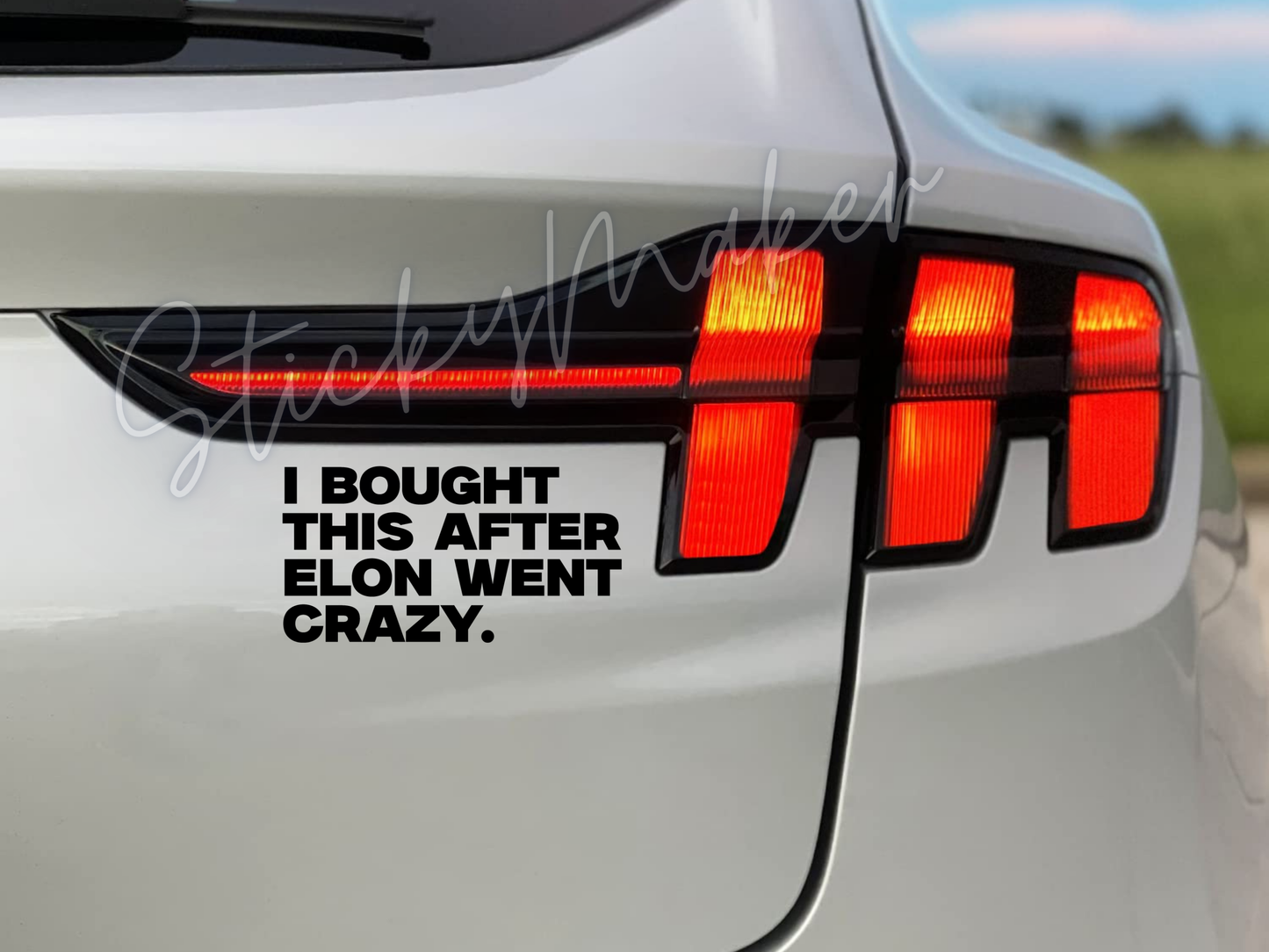 I Bought this after Elon Went Crazy Vinyl Decal | Bumper Sticker | Anti Elon Tesla | I Bought this before Elon went Crazy Funny Humor EV