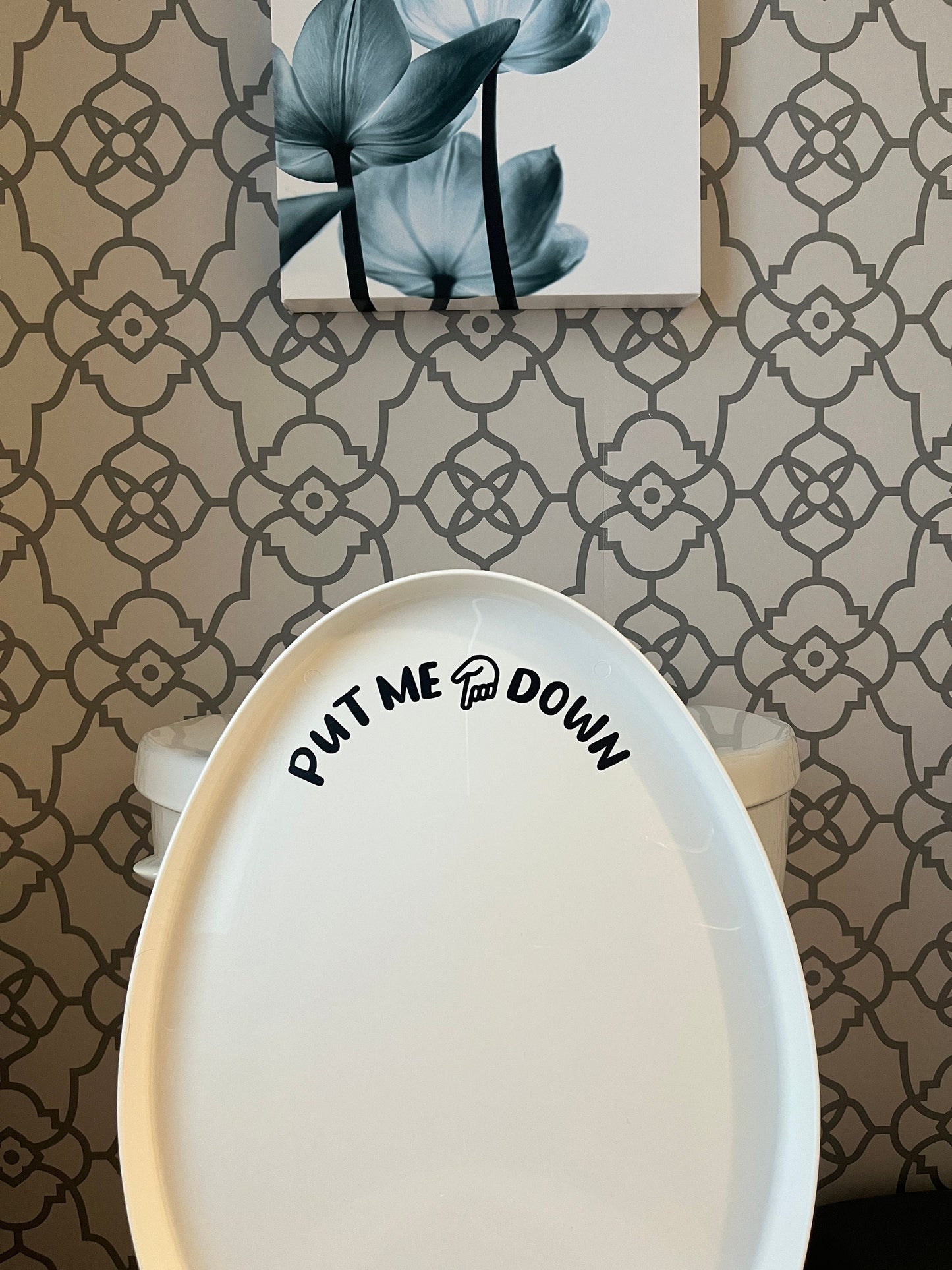 Put Me Down Vinyl Decal | Friendly Reminder| Toilet Seat | Close the lid | Washroom | House Rules | Sanitary | Kids Reminder | Humor | Funny - Sticky Maker