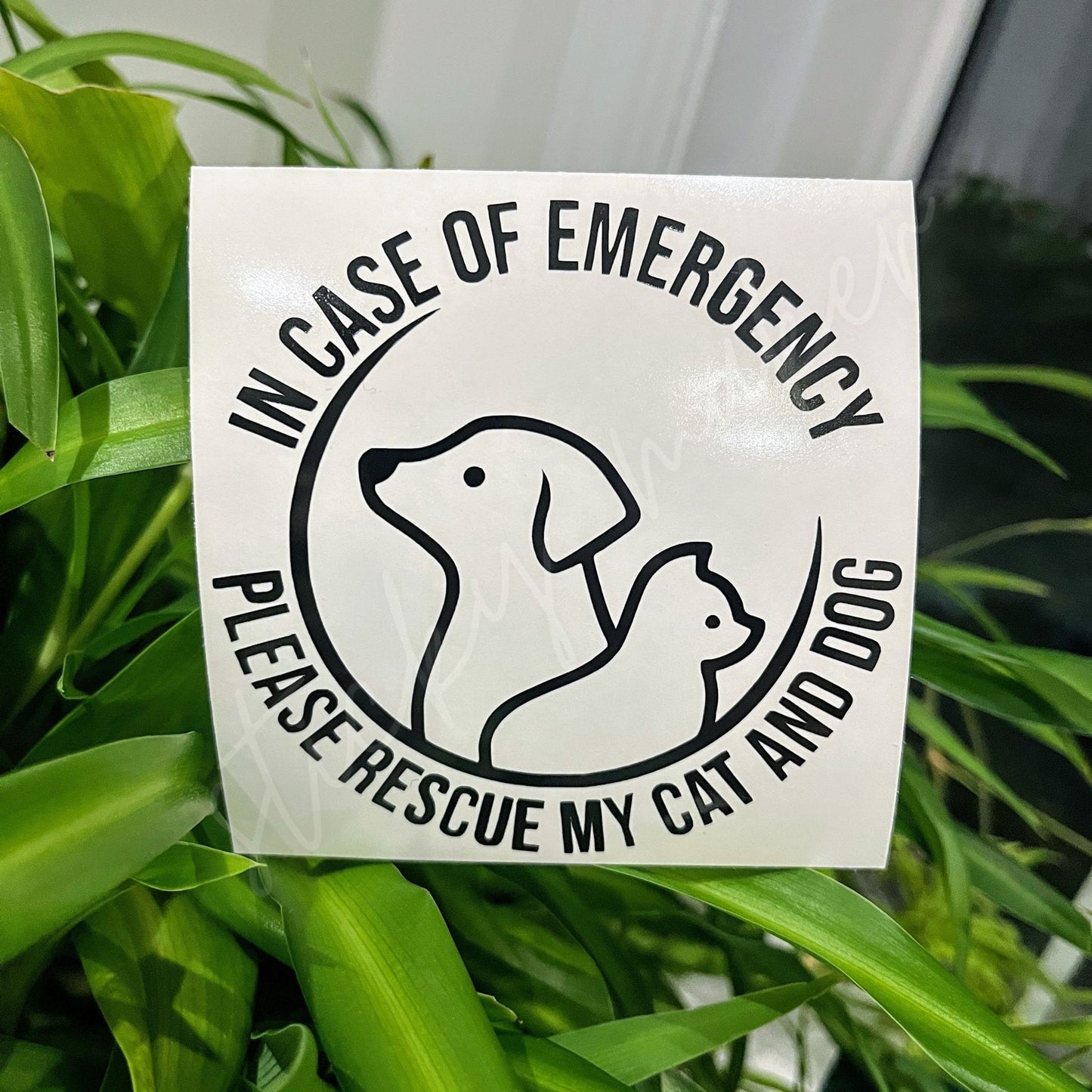 In Case of Emergency Please Rescue my Cat and Dog | Door Sticker | Window Decal | Notice | Emergency | Door Decal | Pets | Loved ones | Cute - Sticky Maker